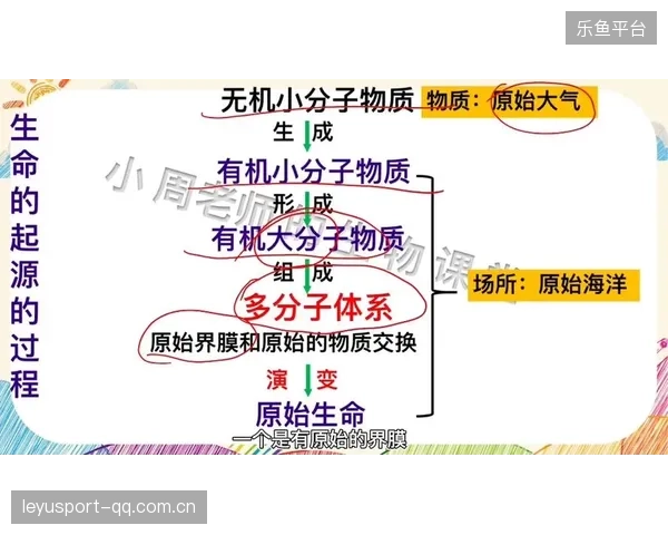 波罗：从“受伤”到“超越”的力量之旅——如何在创伤中重塑生命